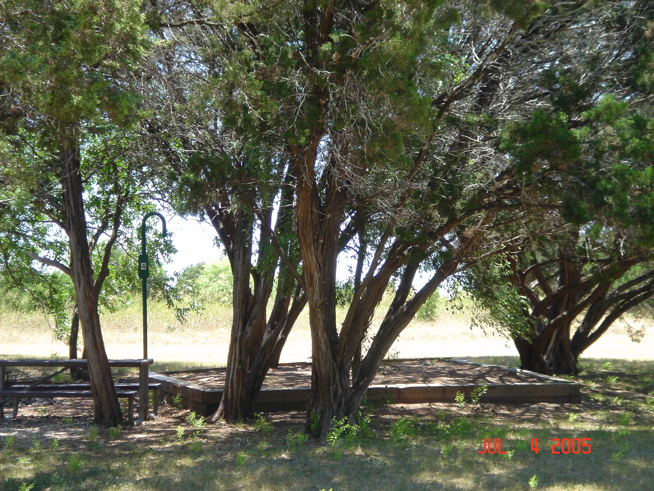 Tejas camp site no